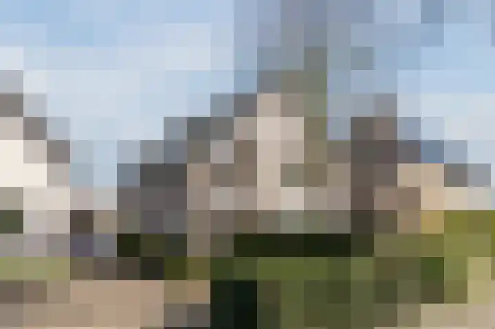 Geldropseweg 21 Heeze thumbnail 57