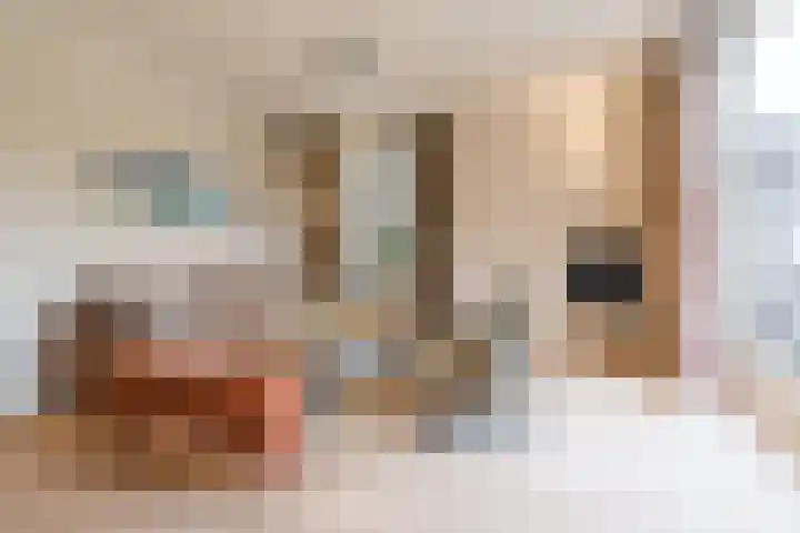 Geldropseweg 21 Heeze thumbnail 9