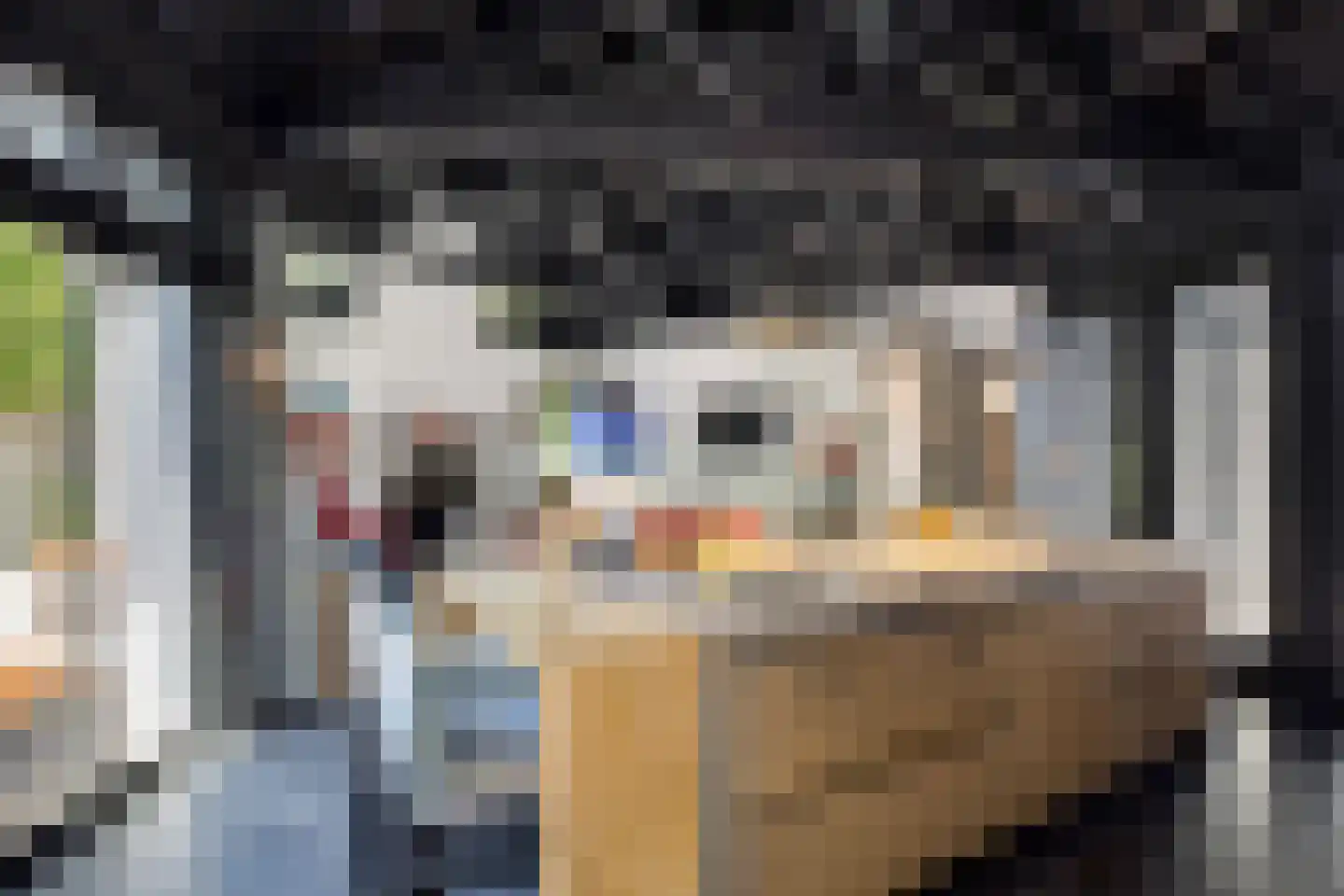 Geldropseweg 56 Heeze thumbnail 16