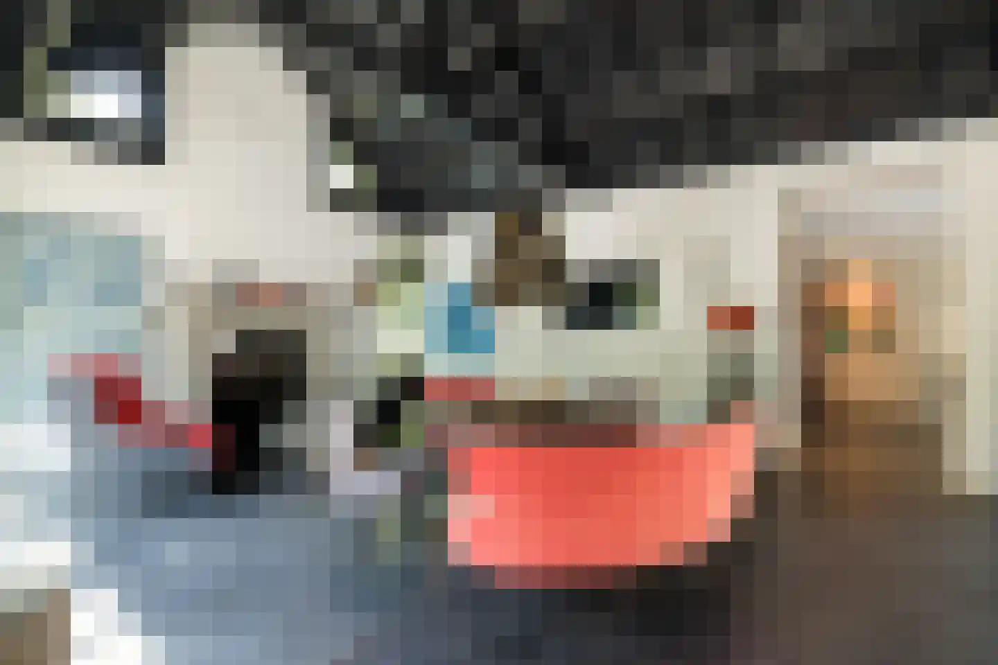 Geldropseweg 56 Heeze thumbnail 17