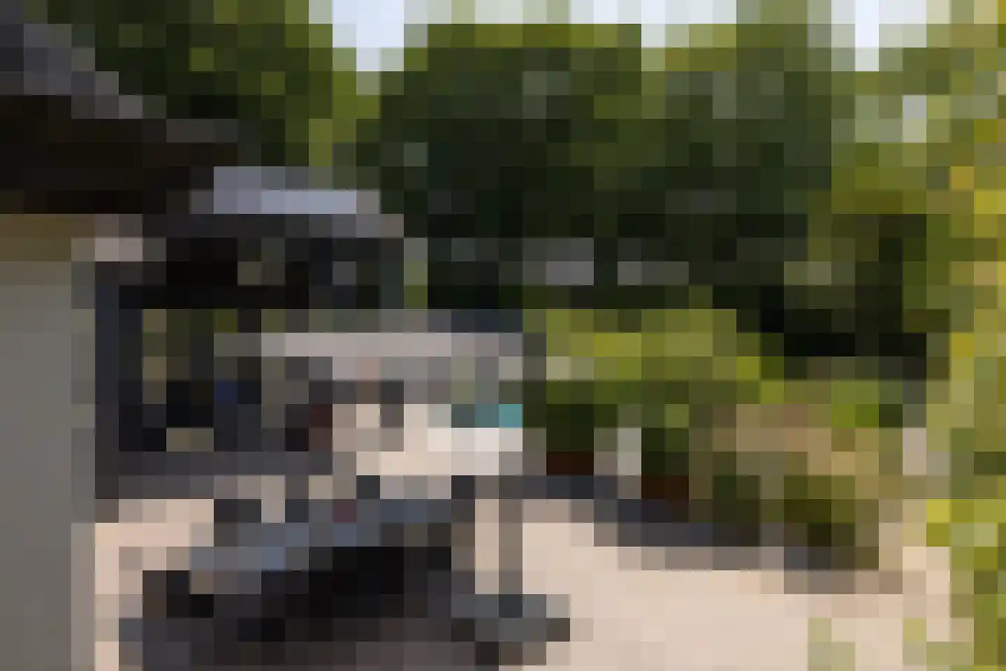 Geldropseweg 56 Heeze thumbnail 37
