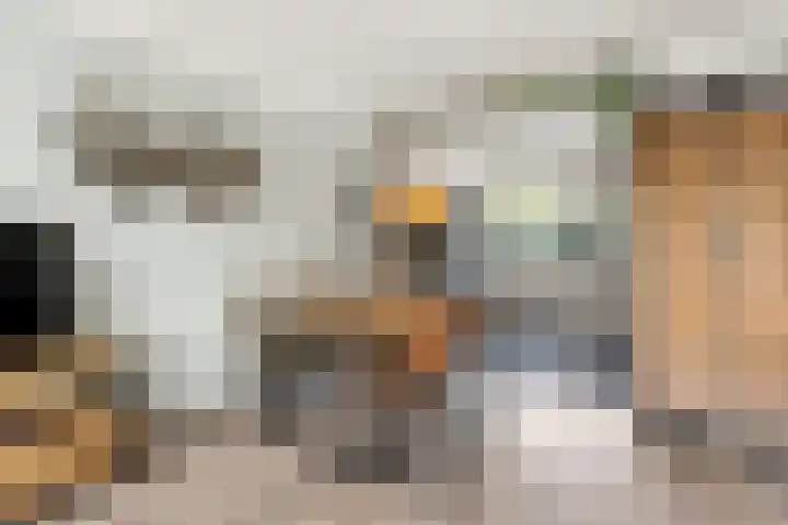 Geldropstraat 26 Arnhem thumbnail 9