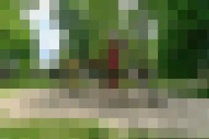 Geldropstraat 70 Arnhem thumbnail 29