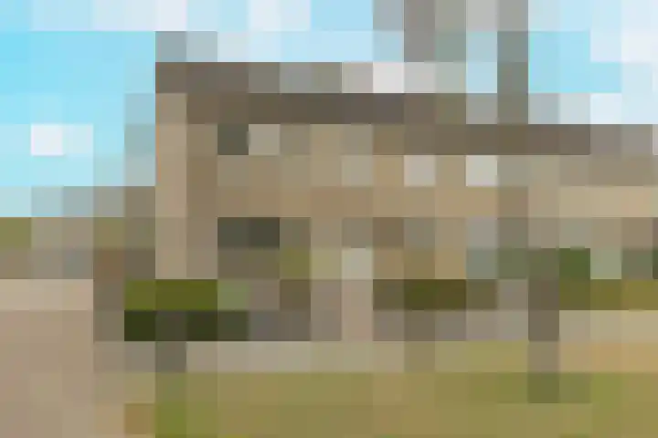 Gele Berk 2 Zundert