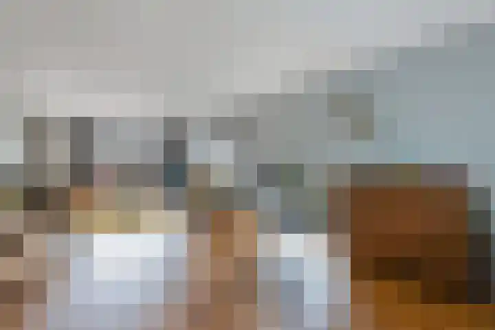 Gele Eker 1 c Wergea thumbnail 14