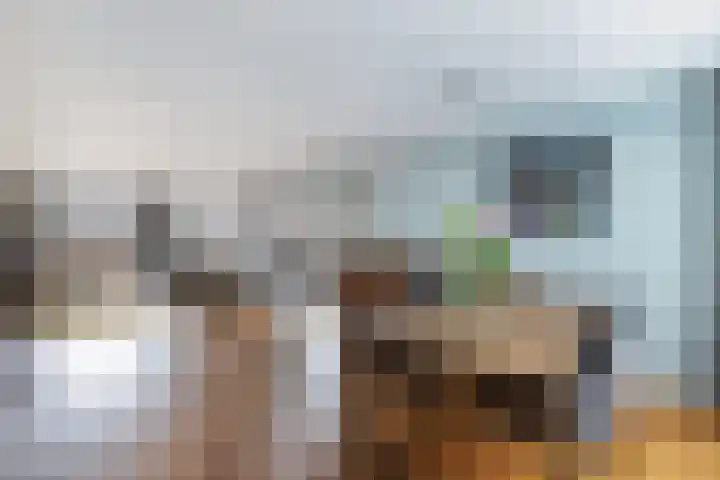 Gele Eker 1 c Wergea thumbnail 23