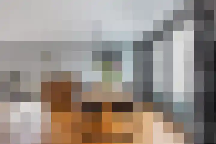 Gele Eker 1 c Wergea thumbnail 24