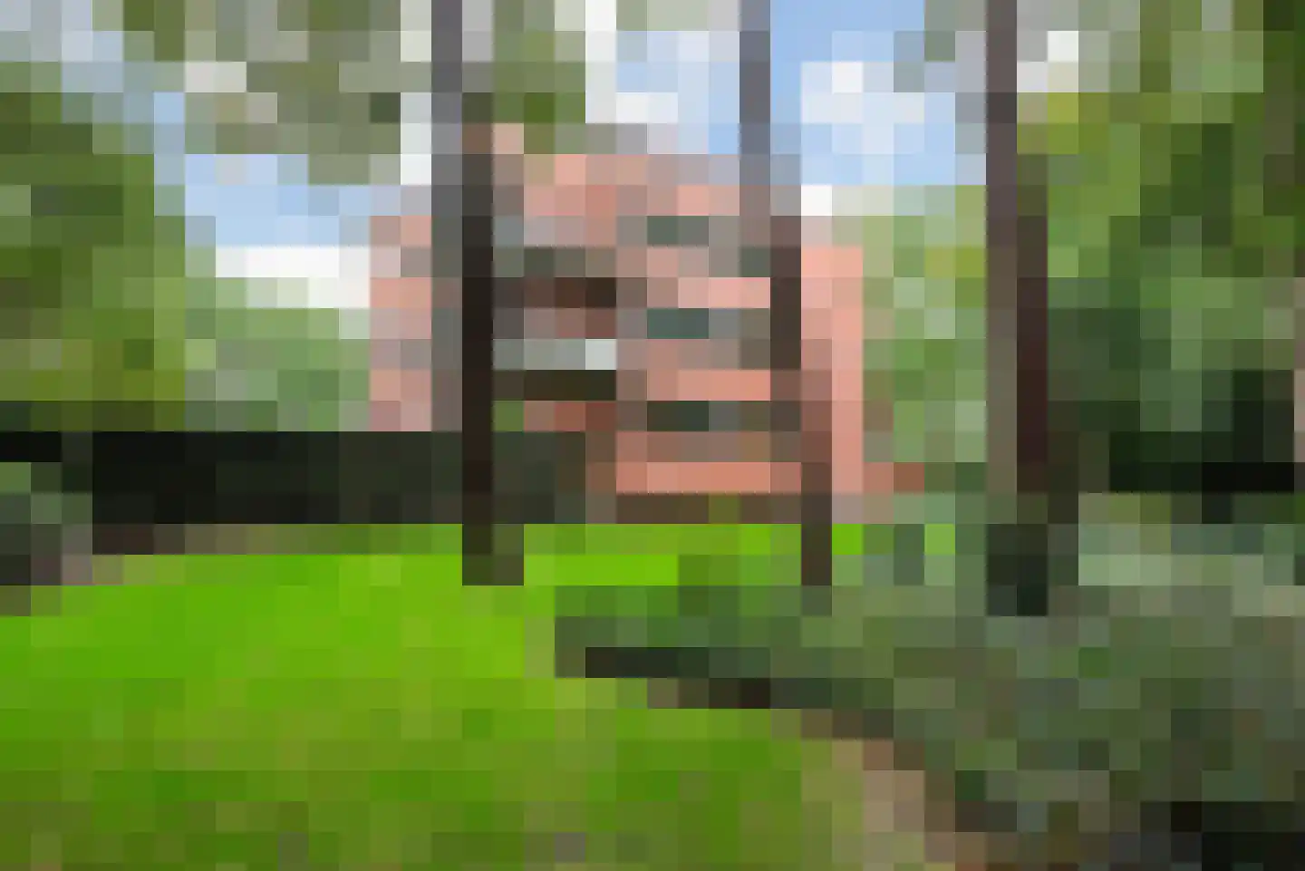 Gele Eker 1 c Wergea thumbnail 26