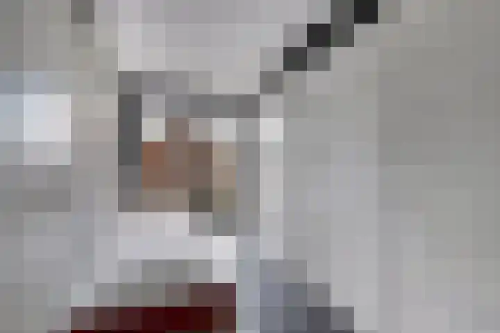 Gele Eker 1 c Wergea thumbnail 29