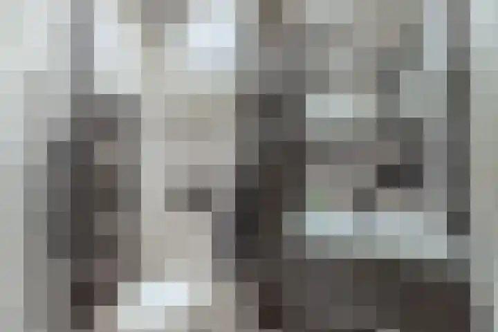 Gele Eker 1 c Wergea thumbnail 35