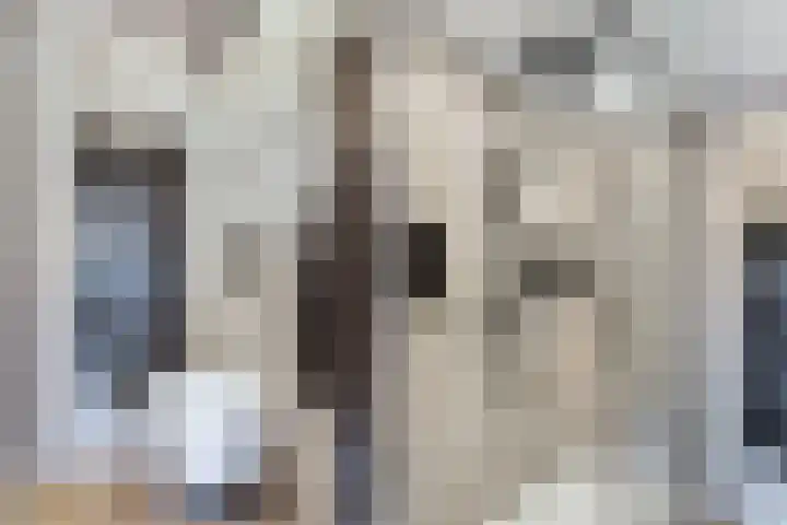 Gele Eker 1 c Wergea thumbnail 36