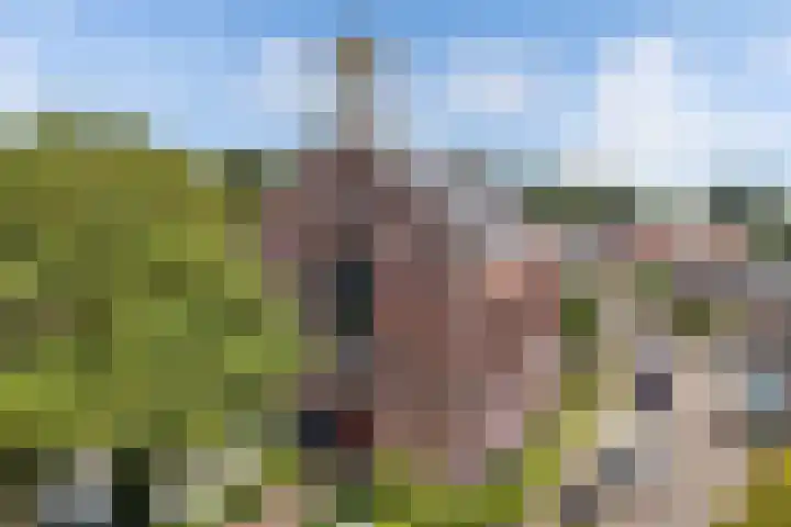 Gele Eker 1 c Wergea thumbnail 39