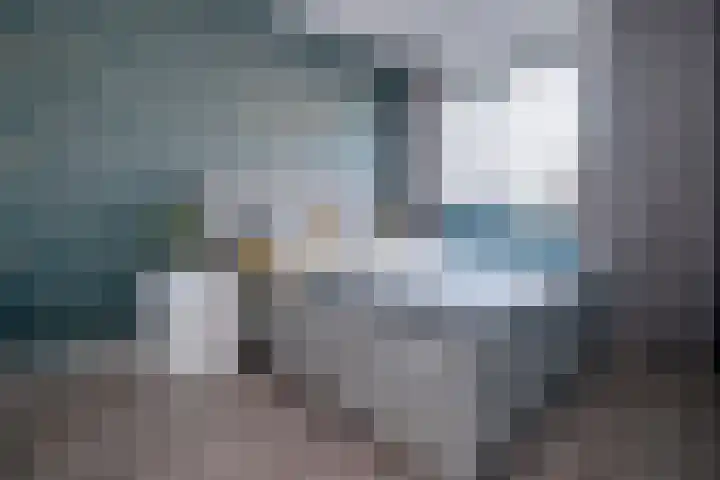 Gele Eker 1 c Wergea thumbnail 4