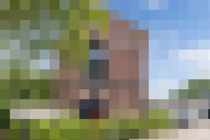 Gele Eker 1 c Wergea thumbnail 40