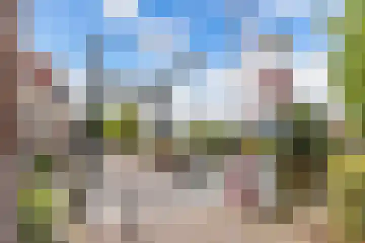 Gele Eker 1 c Wergea thumbnail 45
