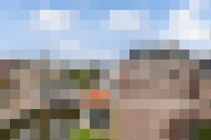 Gele Eker 1 c Wergea thumbnail 46