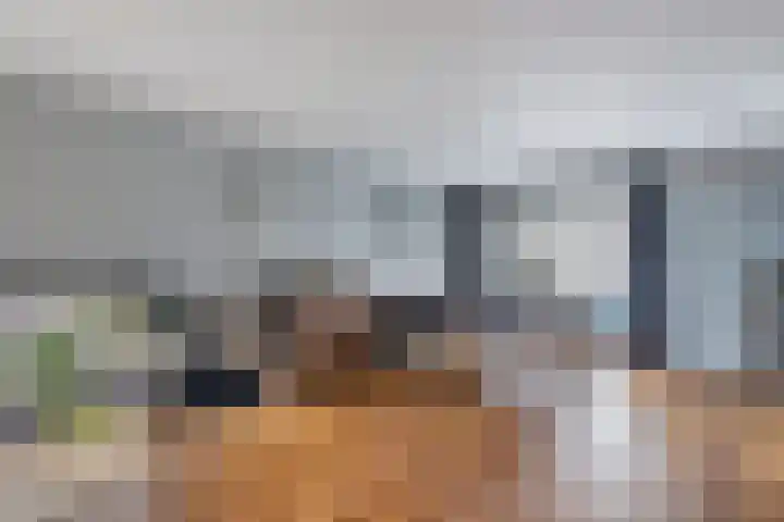 Gele Eker 1 c Wergea thumbnail 5