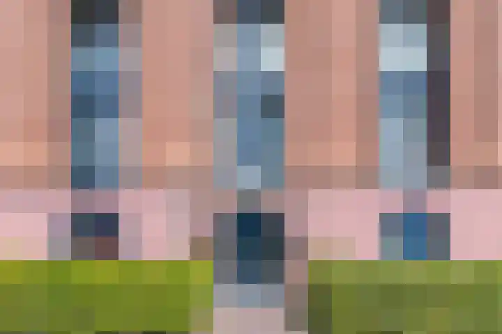 Gele Eker 1 c Wergea thumbnail 7