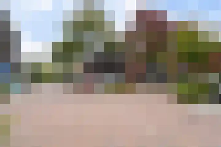 Gele Lis 156 Den Haag thumbnail 12