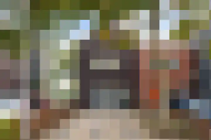 Gele Lis 156 Den Haag thumbnail 14