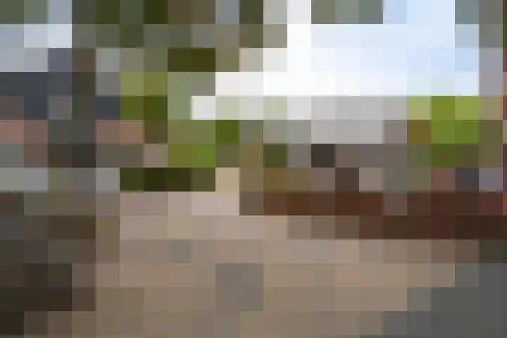 Gele Lis 156 Den Haag thumbnail 15