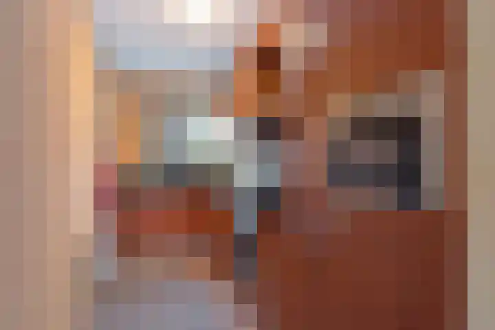 Gele Lis 156 Den Haag thumbnail 24