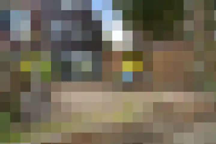 Gele Lis 156 Den Haag thumbnail 30