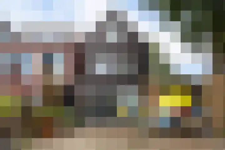 Gele Lis 156 Den Haag thumbnail 31