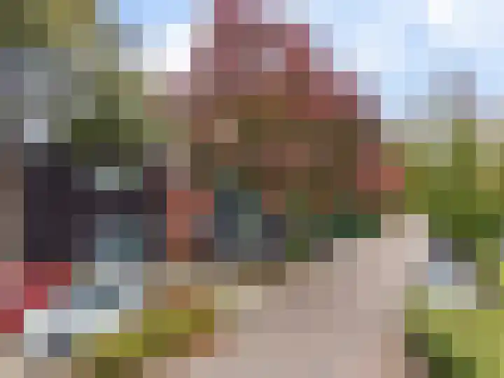 Gele Lis 156 Den Haag thumbnail 6