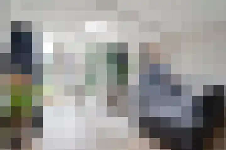 Gele Lis 33 Hardenberg thumbnail 12