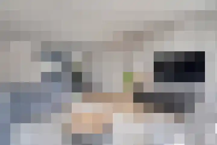 Gele Lis 33 Hardenberg thumbnail 15