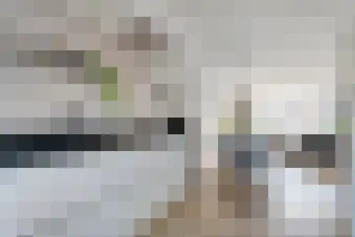 Gele Lis 33 Hardenberg thumbnail 19