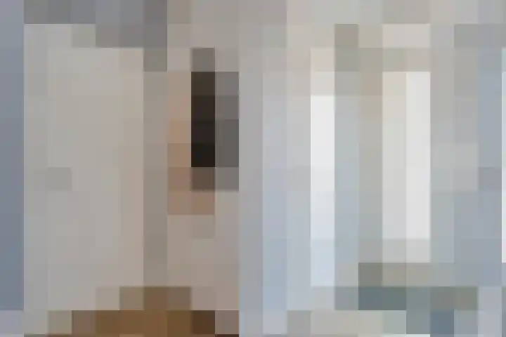 Gele Lis 33 Hardenberg thumbnail 5