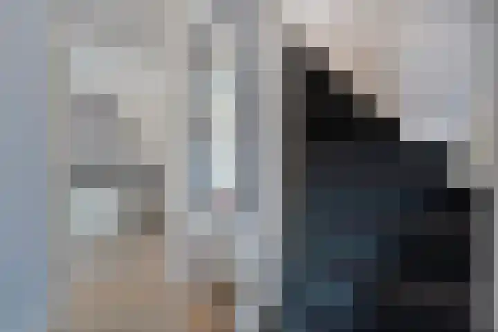 Gele Lis 33 Hardenberg thumbnail 6