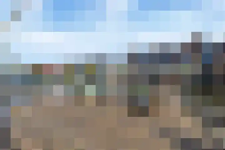 Gele Plomp 24 Amersfoort thumbnail 10
