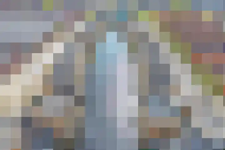 Gele Plomp 24 Amersfoort thumbnail 13