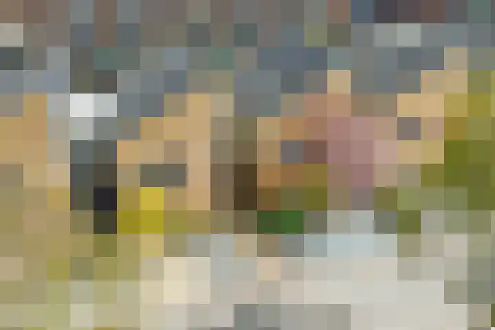 Gele Plomp 24 Amersfoort thumbnail 14