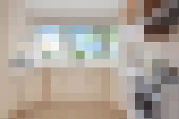 Gele Plomp 24 Amersfoort thumbnail 18