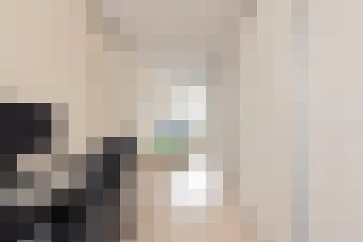 Gele Plomp 24 Amersfoort thumbnail 34