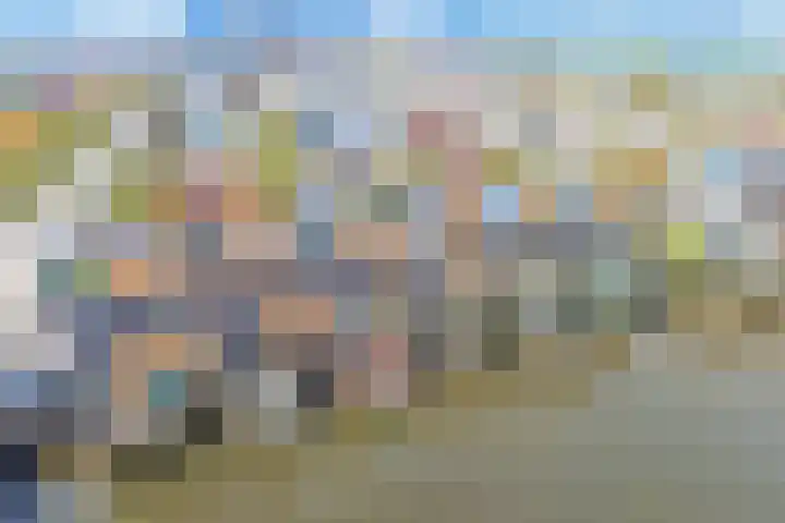 Gele Plomp 24 Amersfoort thumbnail 43