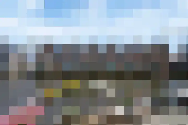 Gele Plomp 24 Amersfoort thumbnail 46