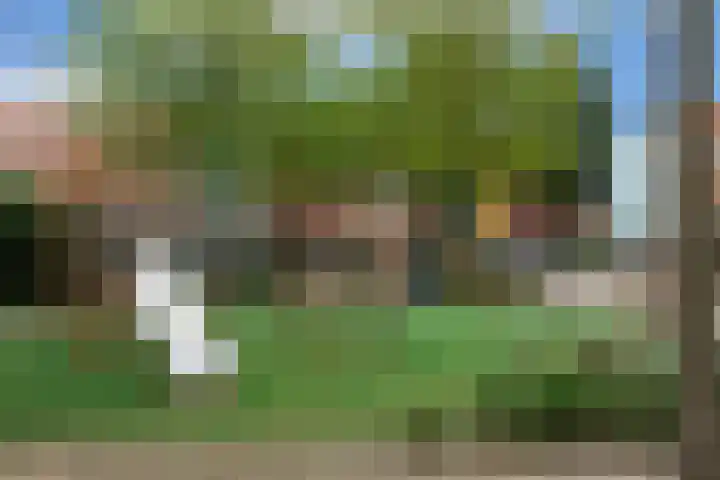 Gele Plomp 24 Amersfoort thumbnail 47