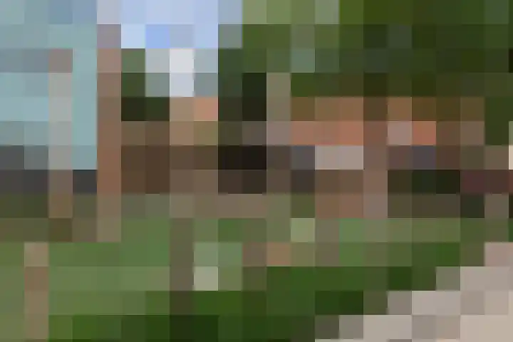 Gele Plomp 24 Amersfoort thumbnail 49