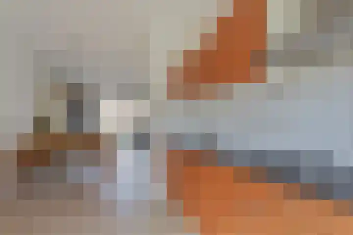 Gele Ring 233 Assendelft thumbnail 12