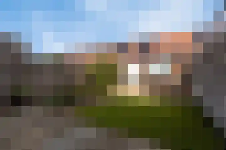 Gele Ring 233 Assendelft thumbnail 6
