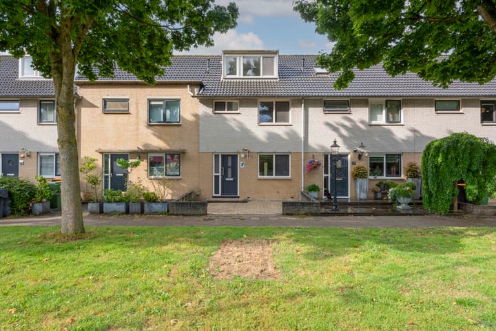 Gele Varaan 25 in Heerhugowaard foto