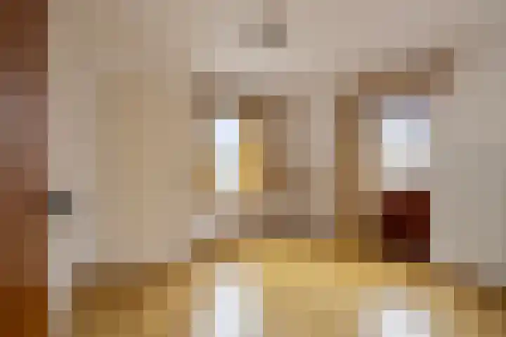 Geleenstraat 8 Puth thumbnail 21