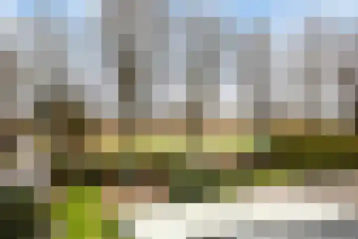 Geleenstraat 8 Puth thumbnail 23