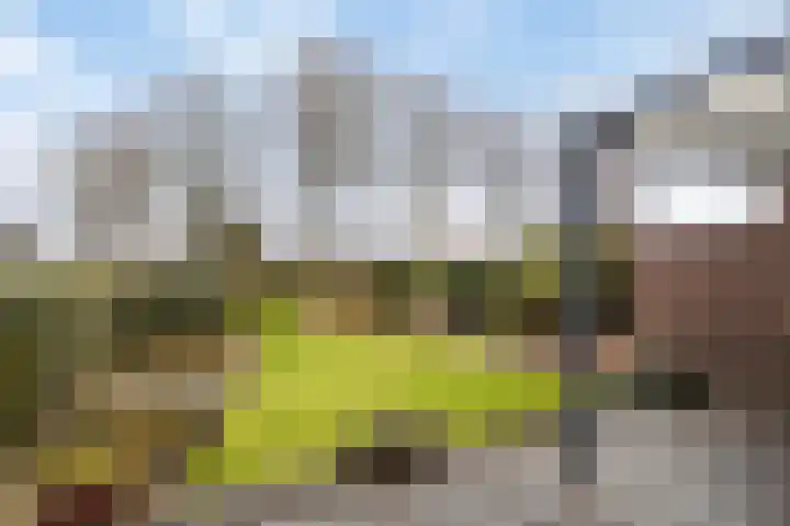 Geleenstraat 8 Puth thumbnail 25