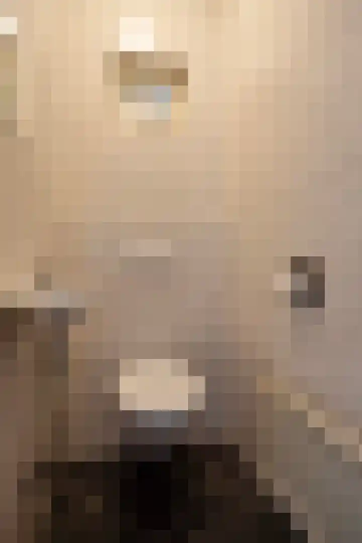 Geleenstraat 8 Puth thumbnail 6